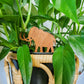 Standard wooden Woolly Mammoth plant stake displayed in 6 inch pot with a houseplant.