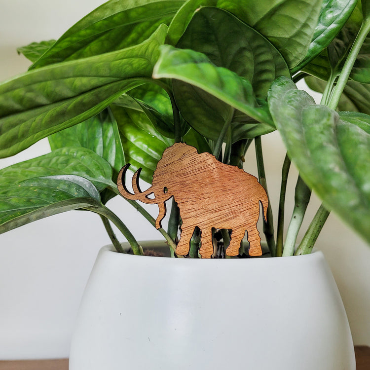 Standard wooden Woolly Mammoth plant stake displayed in 6 inch white pot with a houseplant.