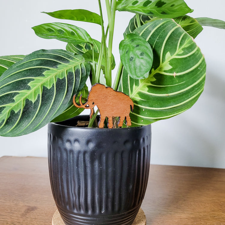 Mini wooden Woolly Mammoth plant stake displayed in 4 inch pot with a houseplant.