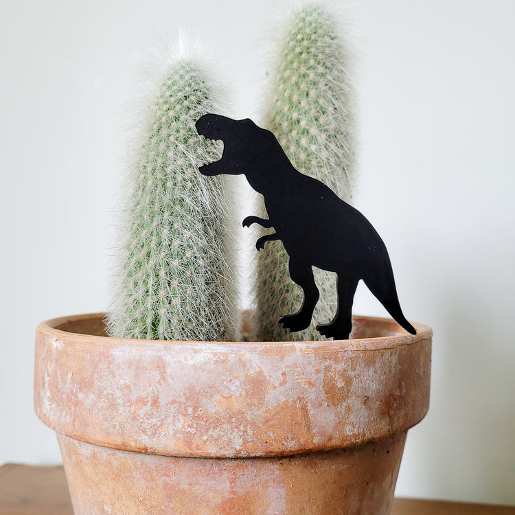 Standard size T-Rex plant stake made from black acrylic displayed in a 6 inch pot with a houseplant.