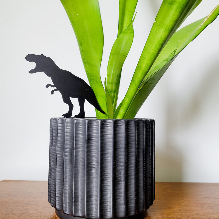 Standard size T-Rex plant stake made from black acrylic displayed in a 4 inch pot with a houseplant.