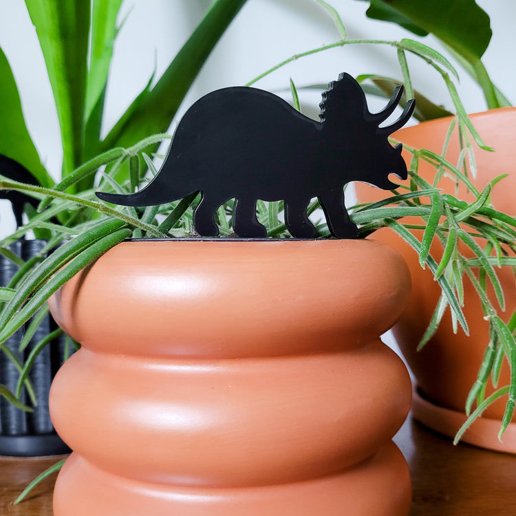 Standard size Triceratops plant stake made from black acrylic displayed in a 4 inch pot with a houseplant.