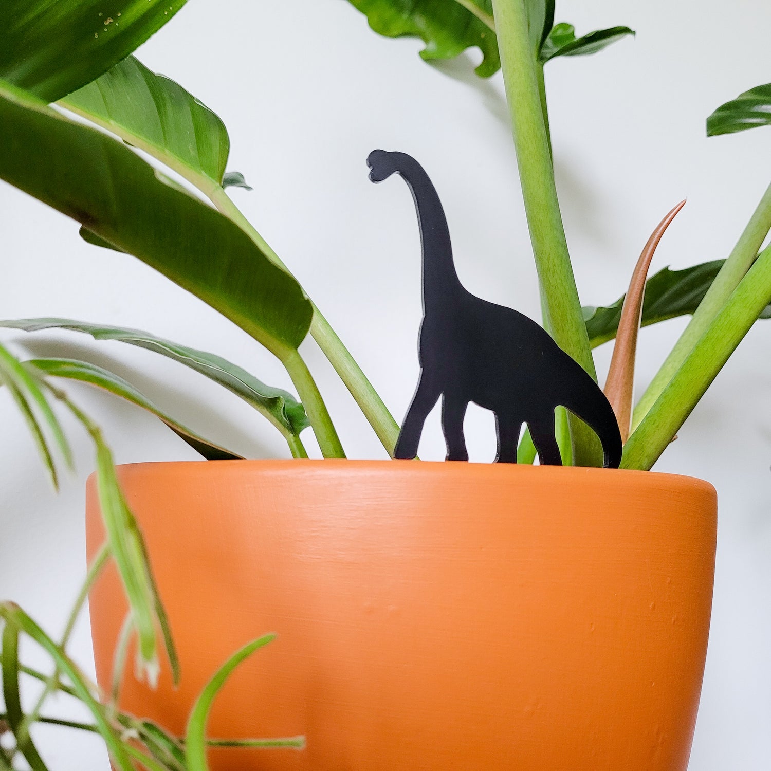 Standard size Brachiosaurus plant stake made from black acrylic displayed in an 8 inch pot with a houseplant.