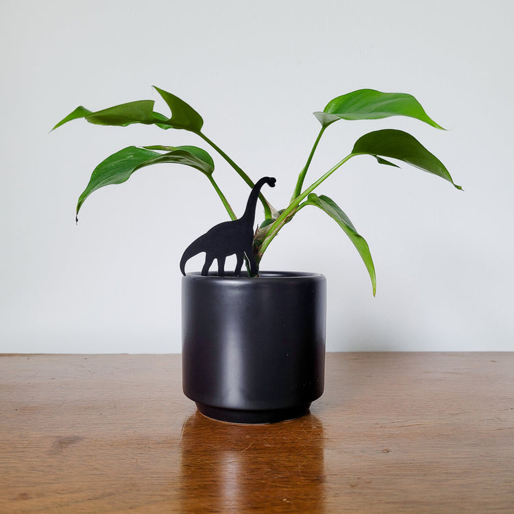 Mini Brachiosaurus plant stake made from black acrylic displayed in 3 inch pot with a houseplant.