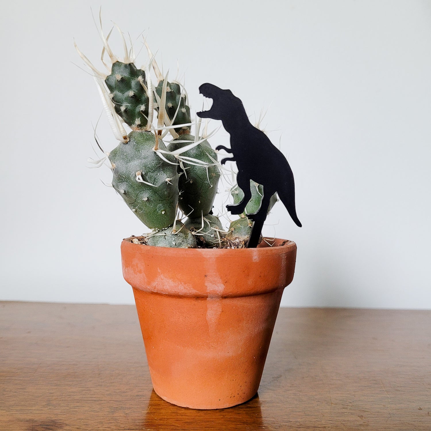 t rex plant pot T-Rex Dinosaur Indoor Plant Accessory