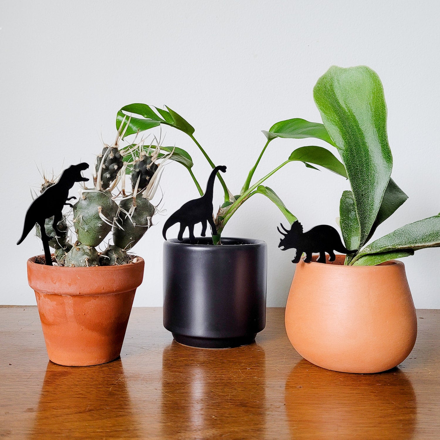 stakes for indoor plants Mini Dinosaurs Set of 3 - Indoor Plant Accessories