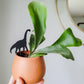 Mini Brachiosaurus plant stake made from black acrylic displayed in 3 inch pot with a houseplant held in hand for size perspective.
