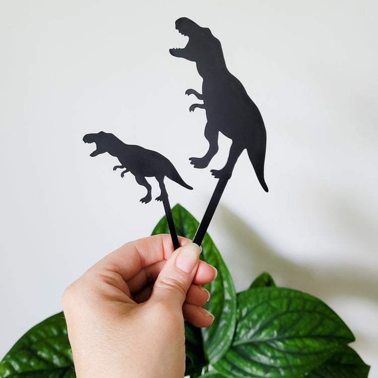 Standard and Mini T-Rex plant stakes held in hand for size perspective.
