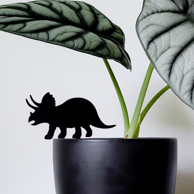 Standard size Triceratops plant stake made from black acrylic displayed in a 6 inch pot with a houseplant.