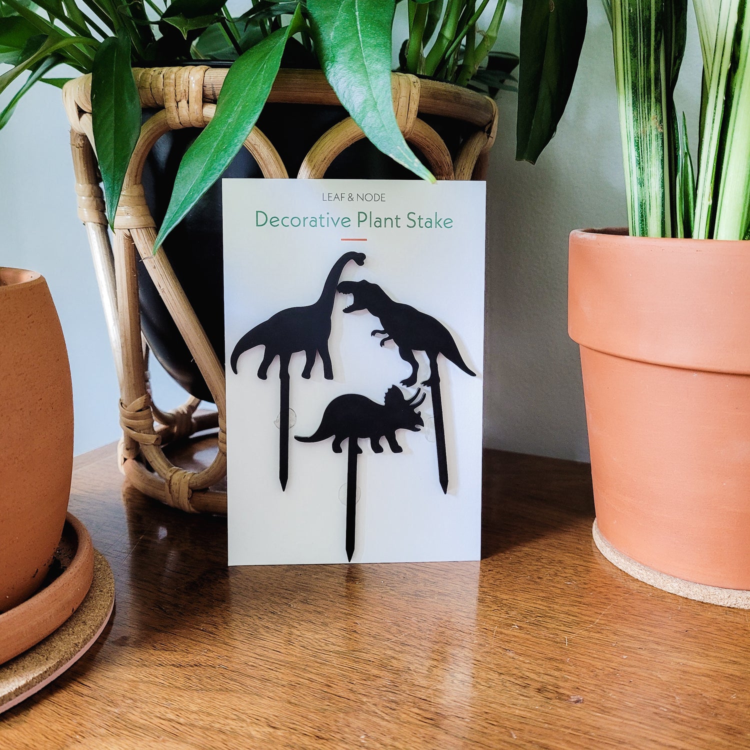 Three mini dinosaur plant stakes displayed on product packaging card.