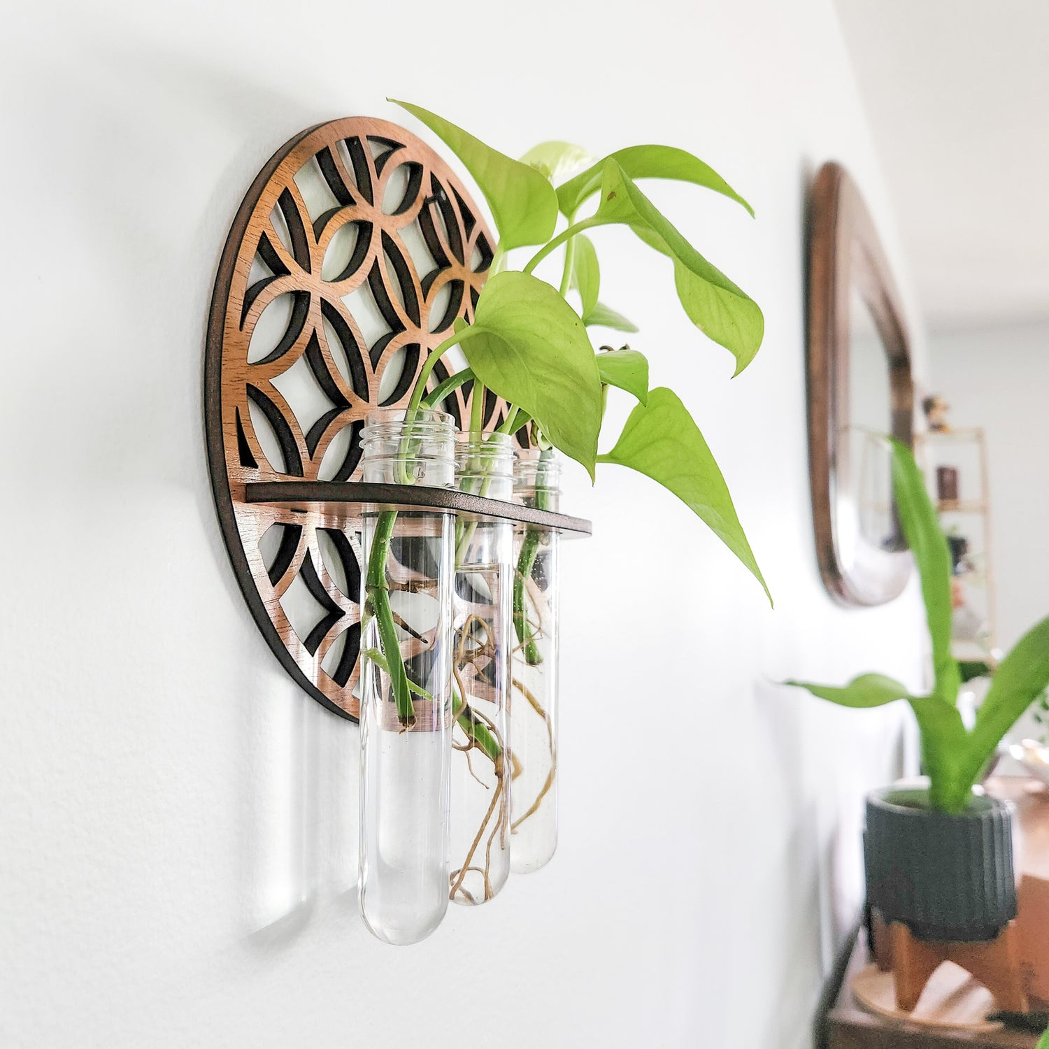 hanging plant cuttings Wall Hanging Propagation Station