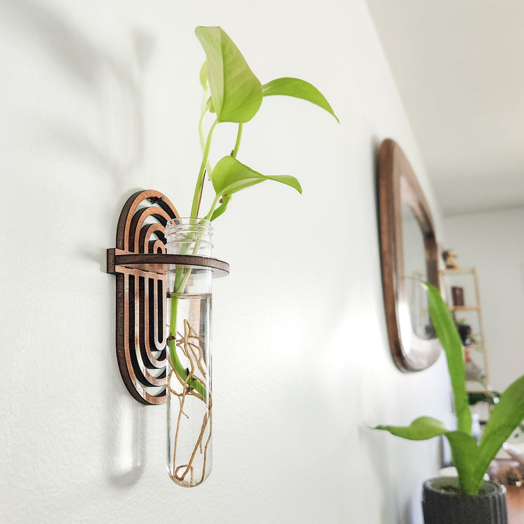 test tube rack plants Boho Rainbow Wall Propagation Station