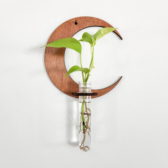 Crescent Moon Wall Propagation Station - Test Tube Holder