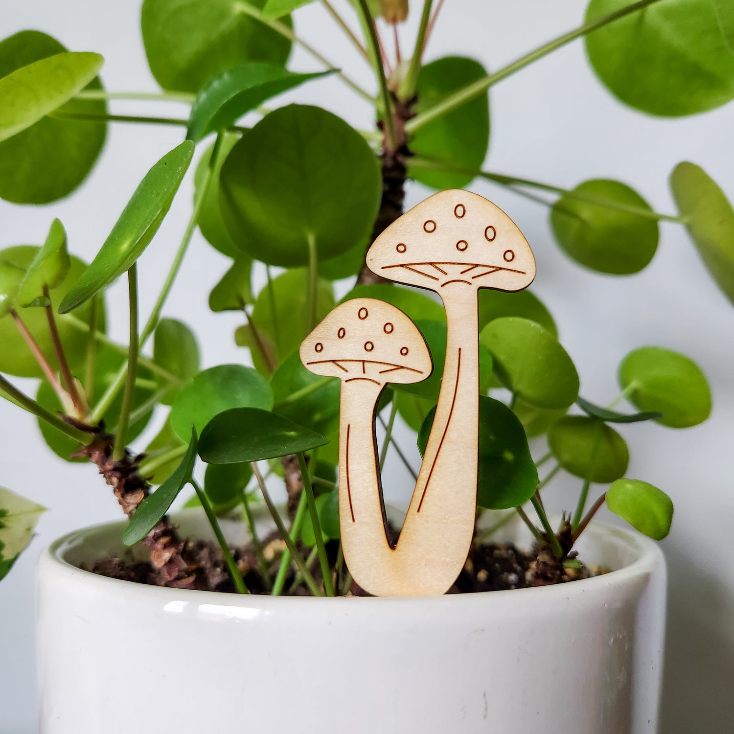mushrooms on indoor plants Mushroom Pair Indoor Plant Accessory Stake