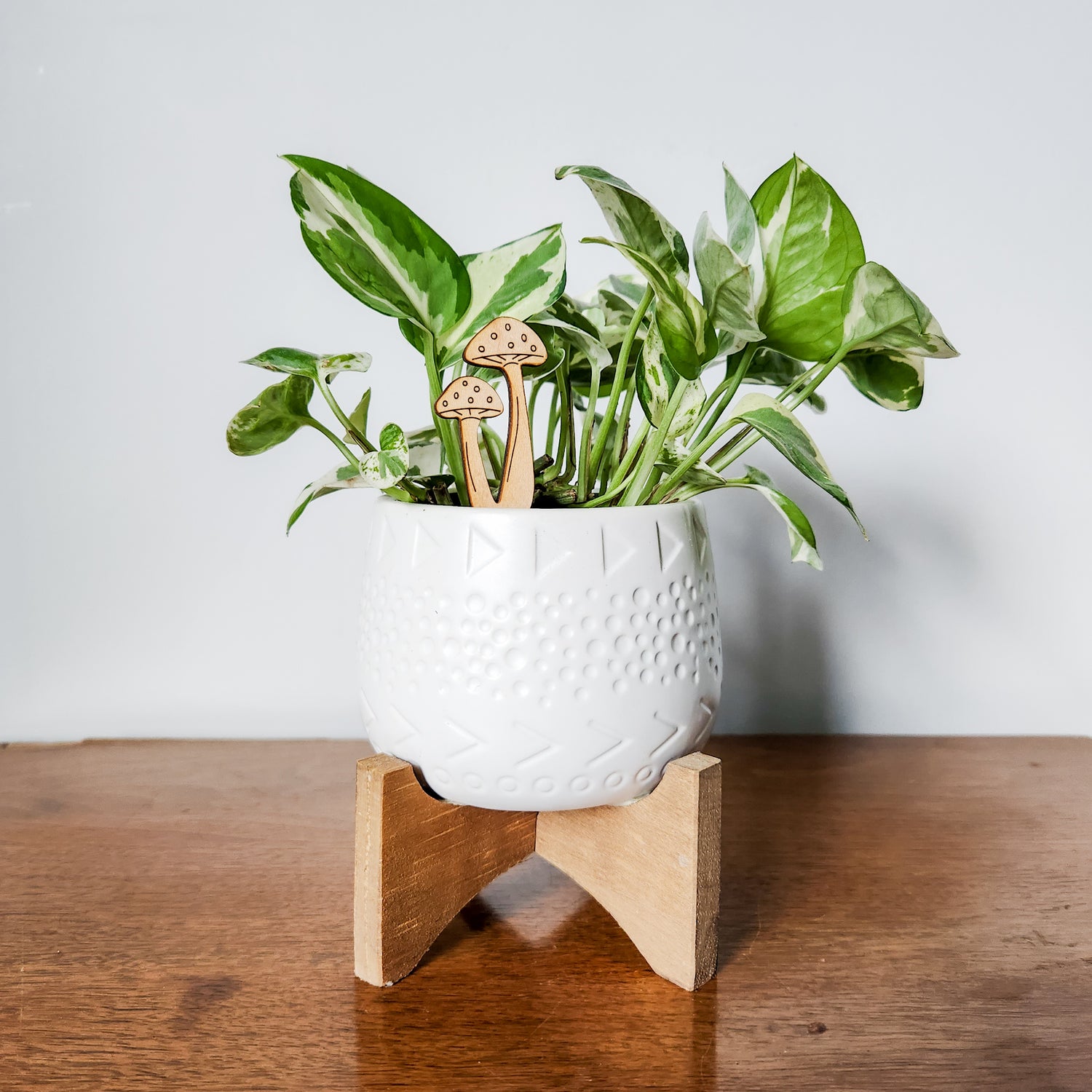 mushrooms indoor potted plants Mushroom Pair Indoor Plant Accessory Stake
