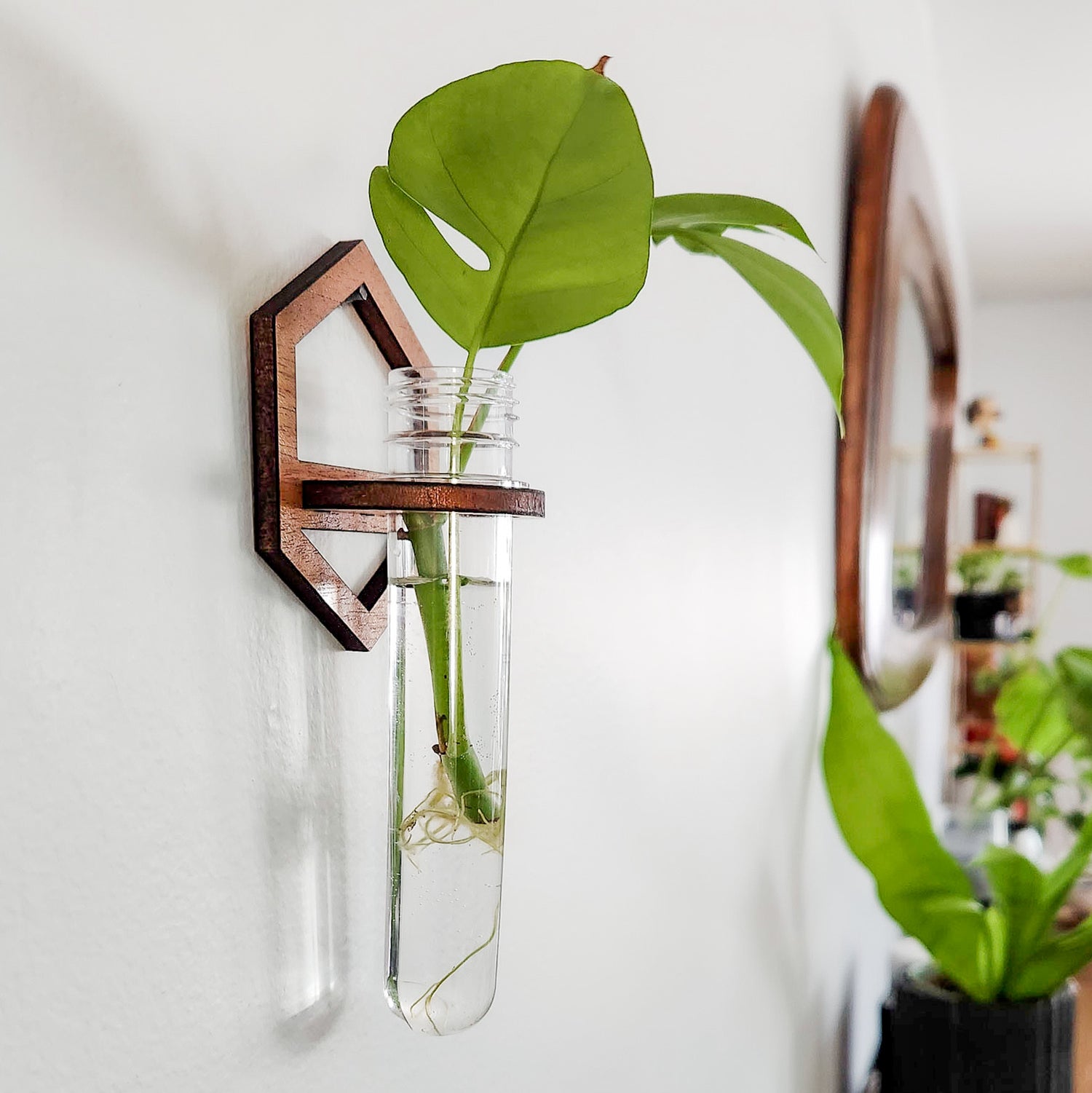 Wall Hanging Propagation Station - Grow Plant Cuttings in Water – Leaf &  Node