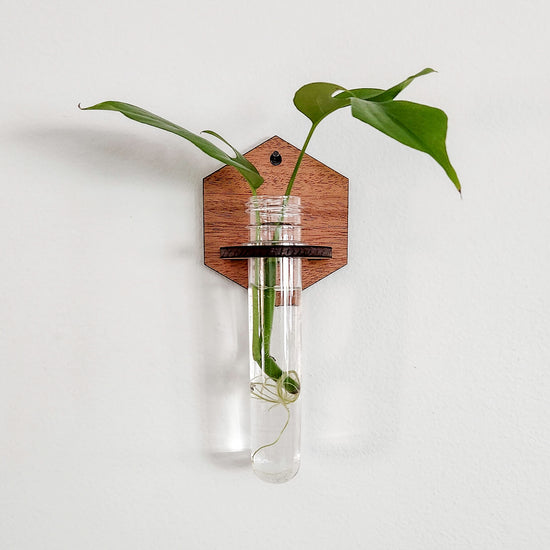 Solid Hexagon Wall Propagation Station - Test Tube Planter