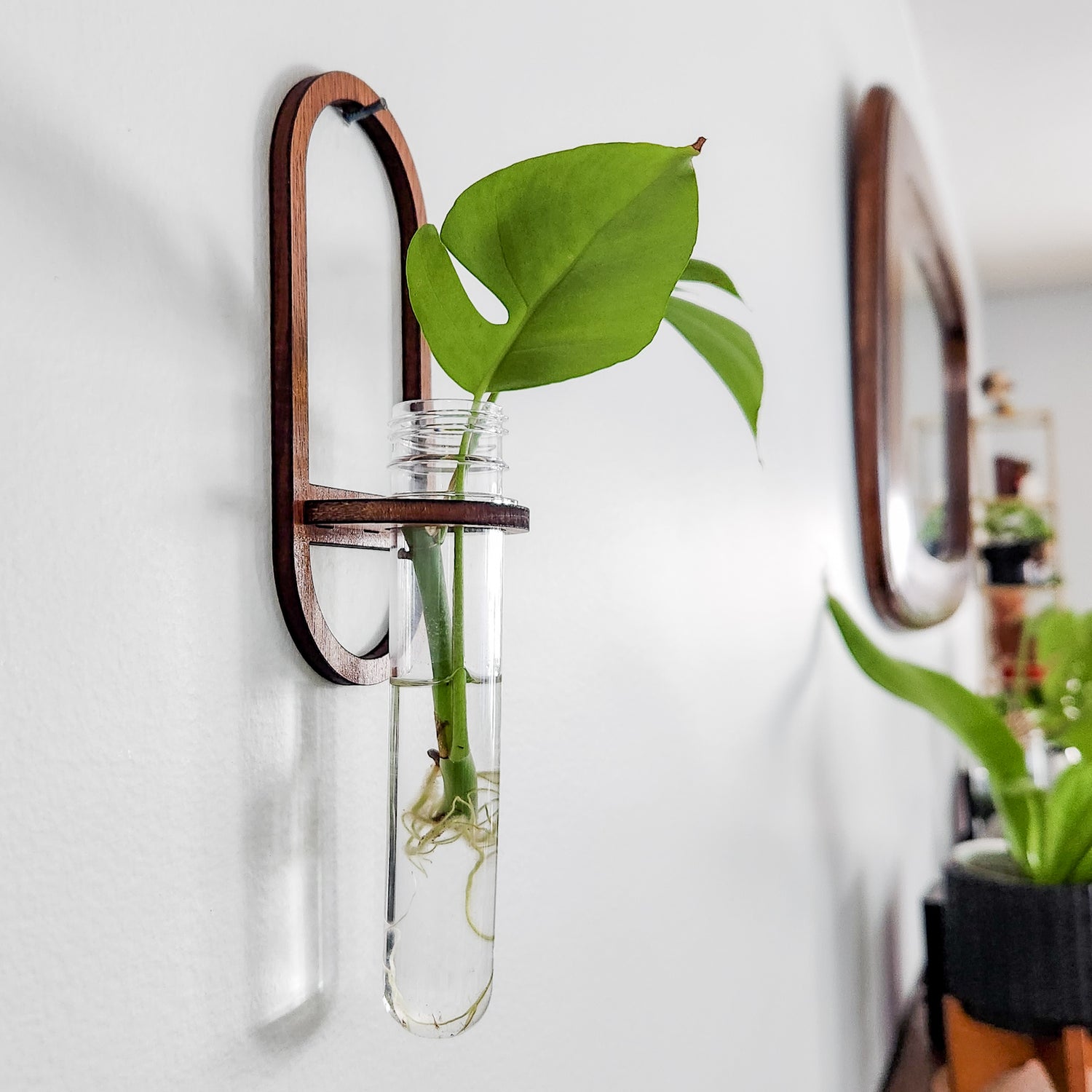 hanging plant cuttings Oval Wall Propagation Station
