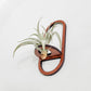 Oval Air Plant Holder - Wall Hanger Display