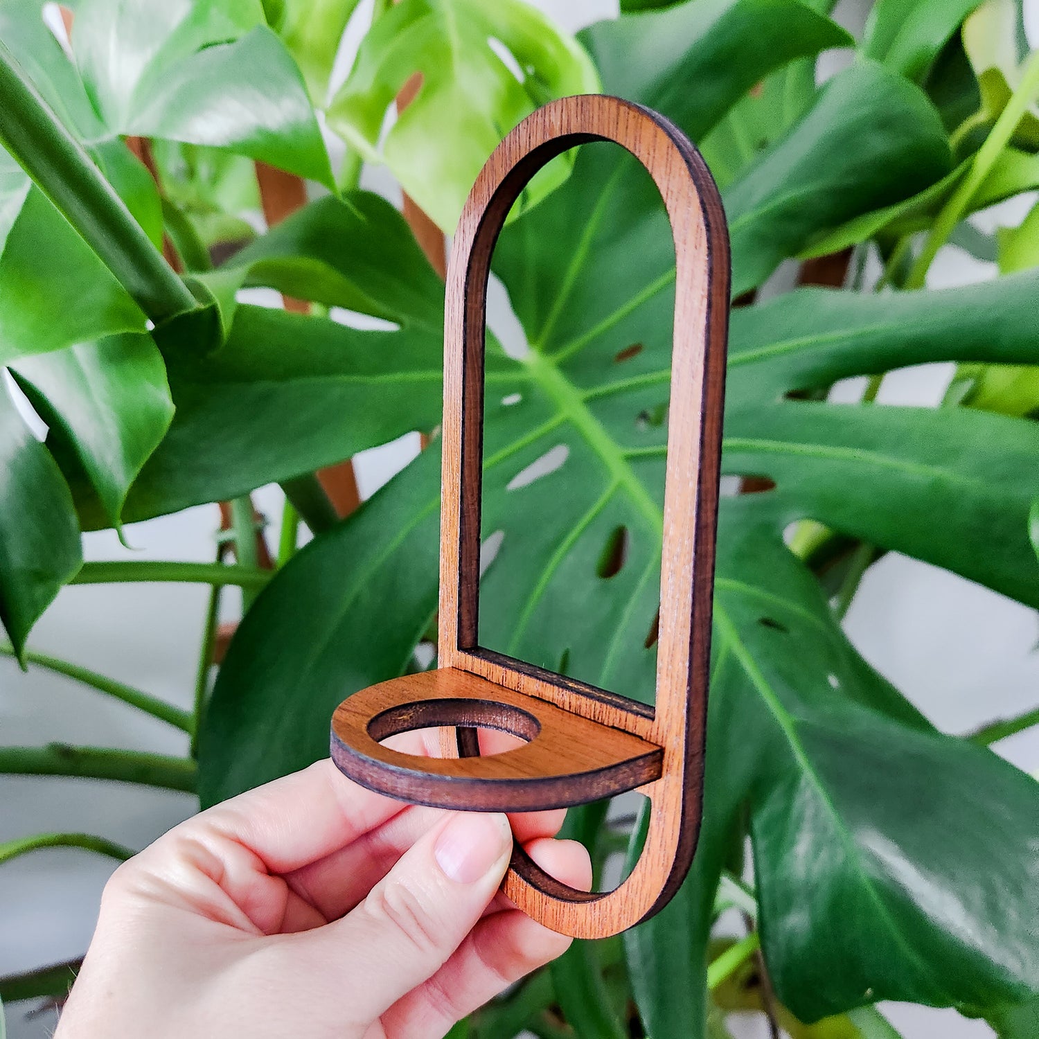 air plant wall holder wood Air Plant Holder
