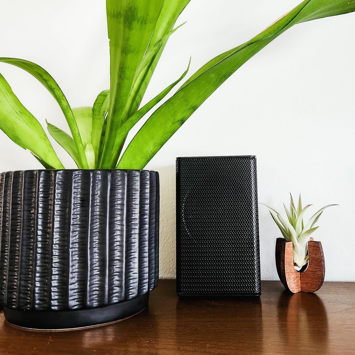 pots for air plants Air Plant Holder - Wood Desk Stand