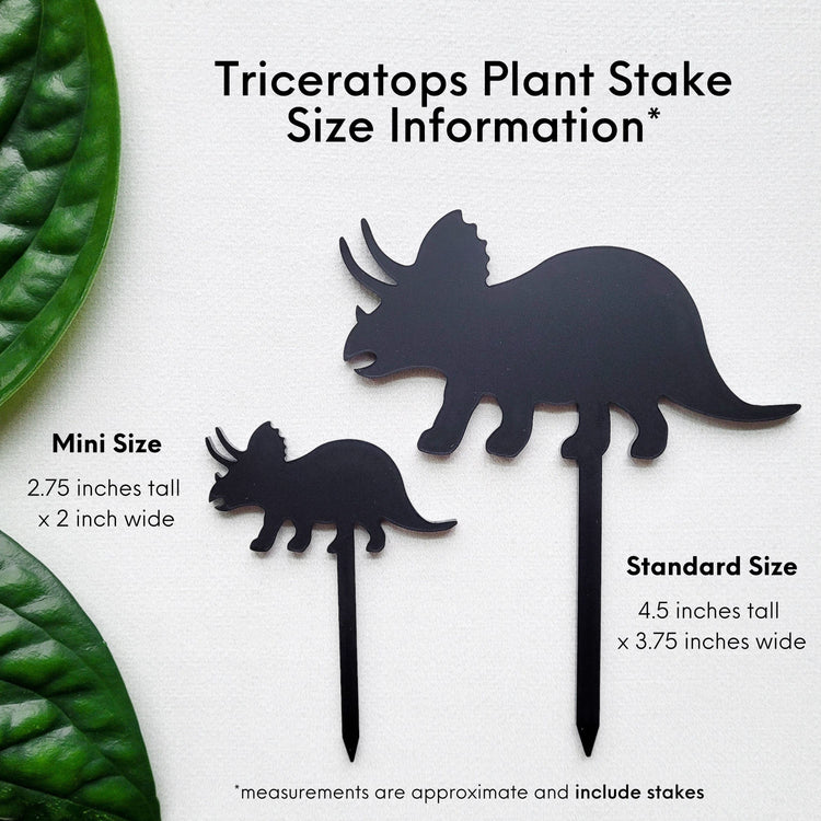 Standard and Mini Triceratops plant stakes on white background with size information that matches the written description.