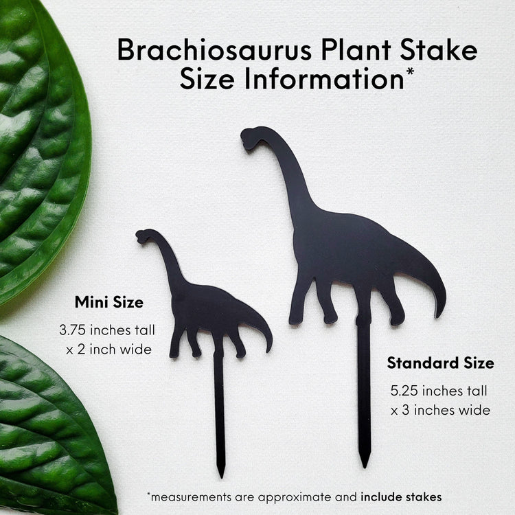 Standard and Mini Brachiosaurus plant stakes on white background with size information that matches the written description.