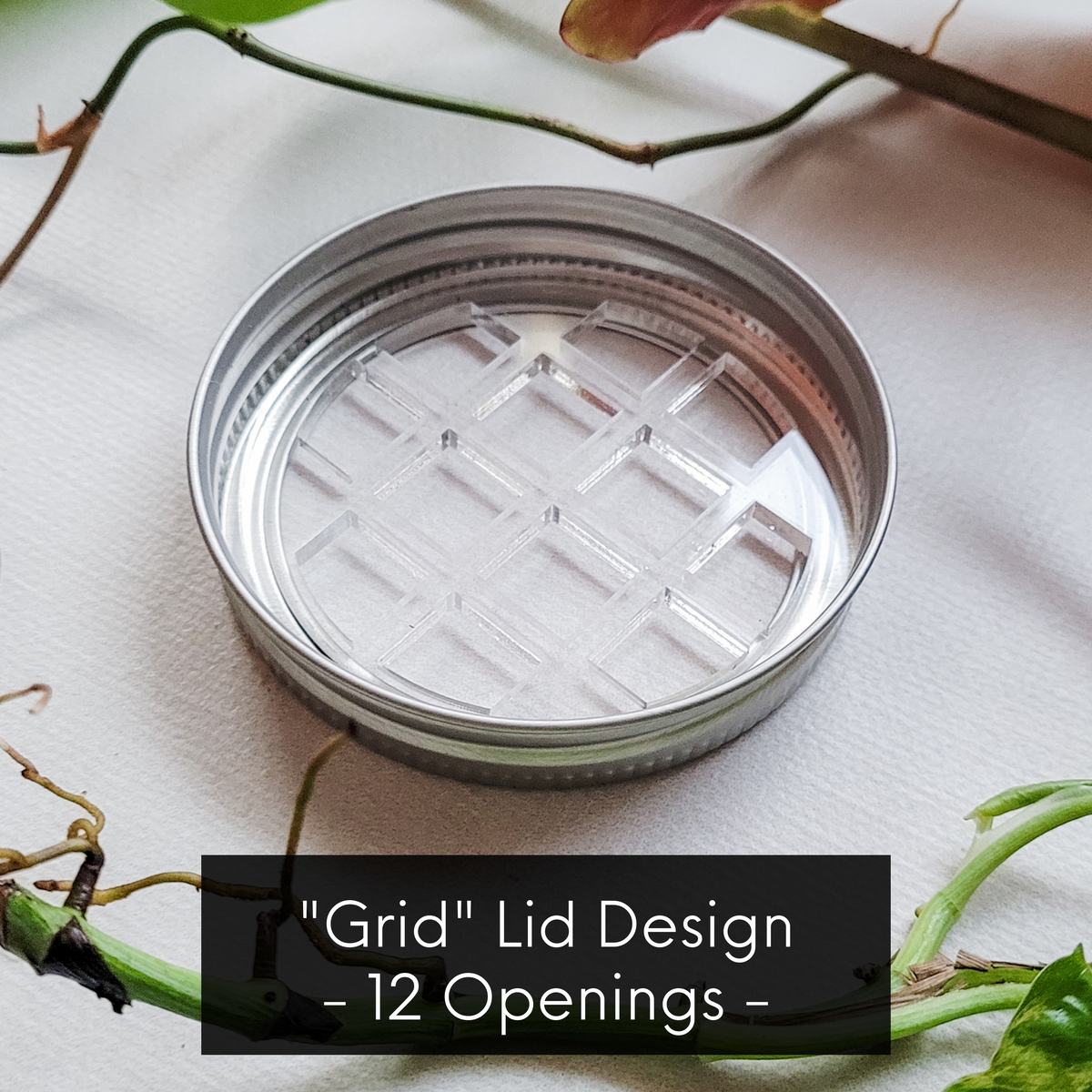 Lid Insert for Mason Jars - Plant Propagation - Root Cuttings in Water ...