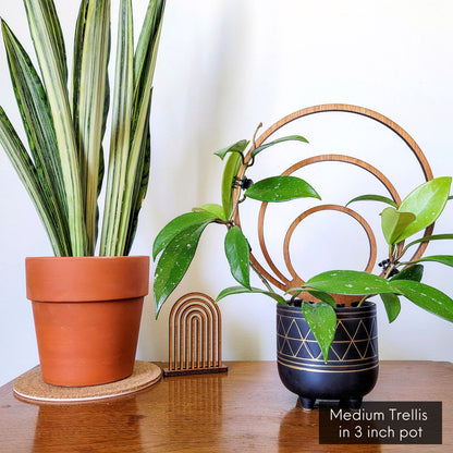 wooden trellis indoor Round Circle Indoor Plant Trellis - Triple Hoop