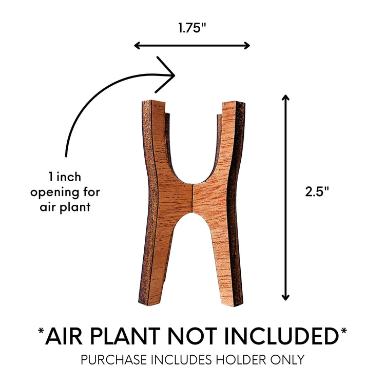 Size information for small wooden air plant desk holder.