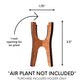 Size information for small wooden air plant desk holder.