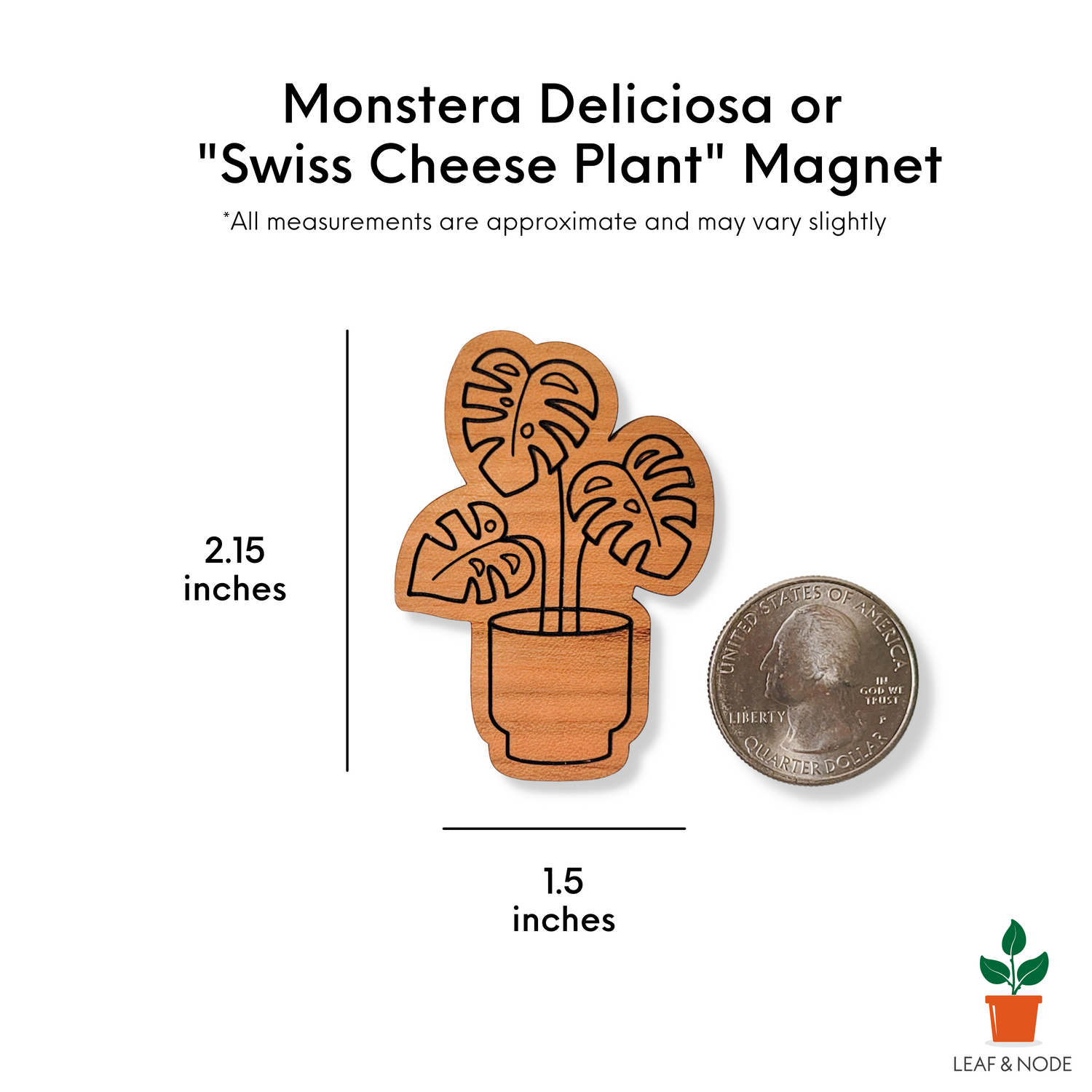 Engraved monstera magnet on white background with size information that matches the written product description.