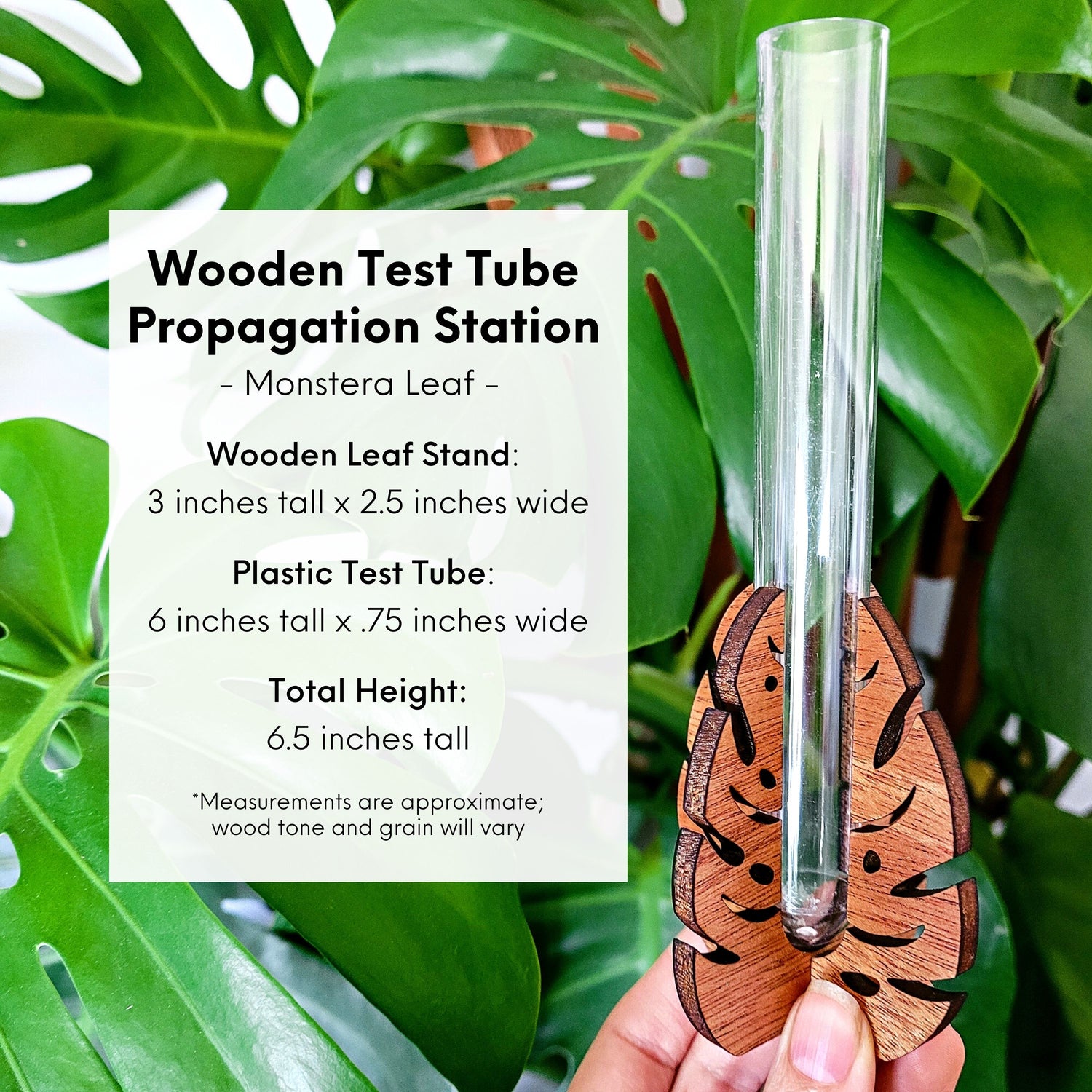 Size information for the monstera leaf test tube stand that matches the measurements provided in the written description.
