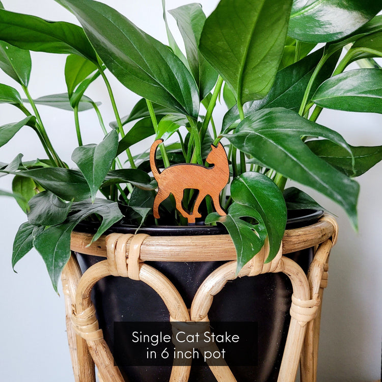 Single cat silhouette decorative plant stake displayed in a black 6 inch pot with a baltic blue pothos plant.