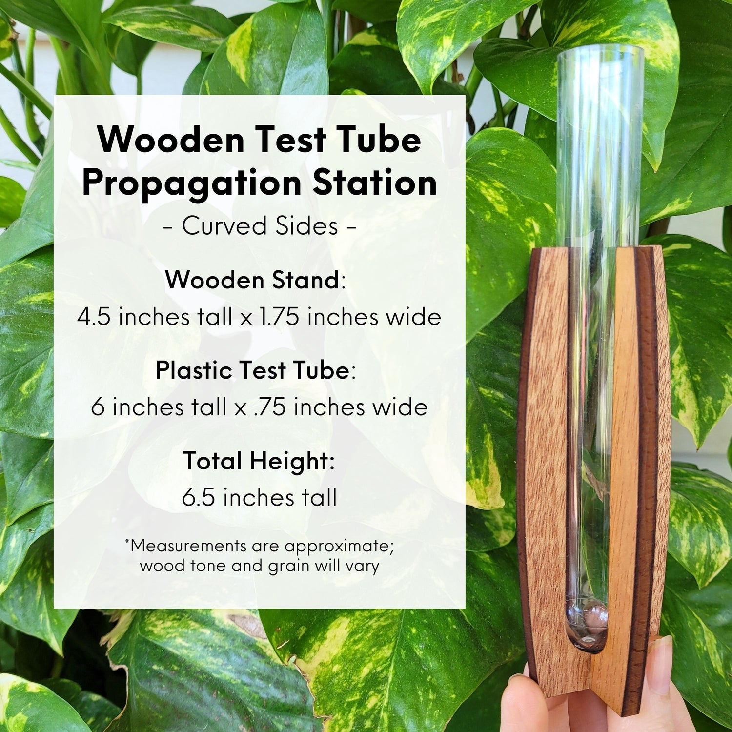 Size information for the test tube stand with curved sides that matches the measurements provided in the written description.