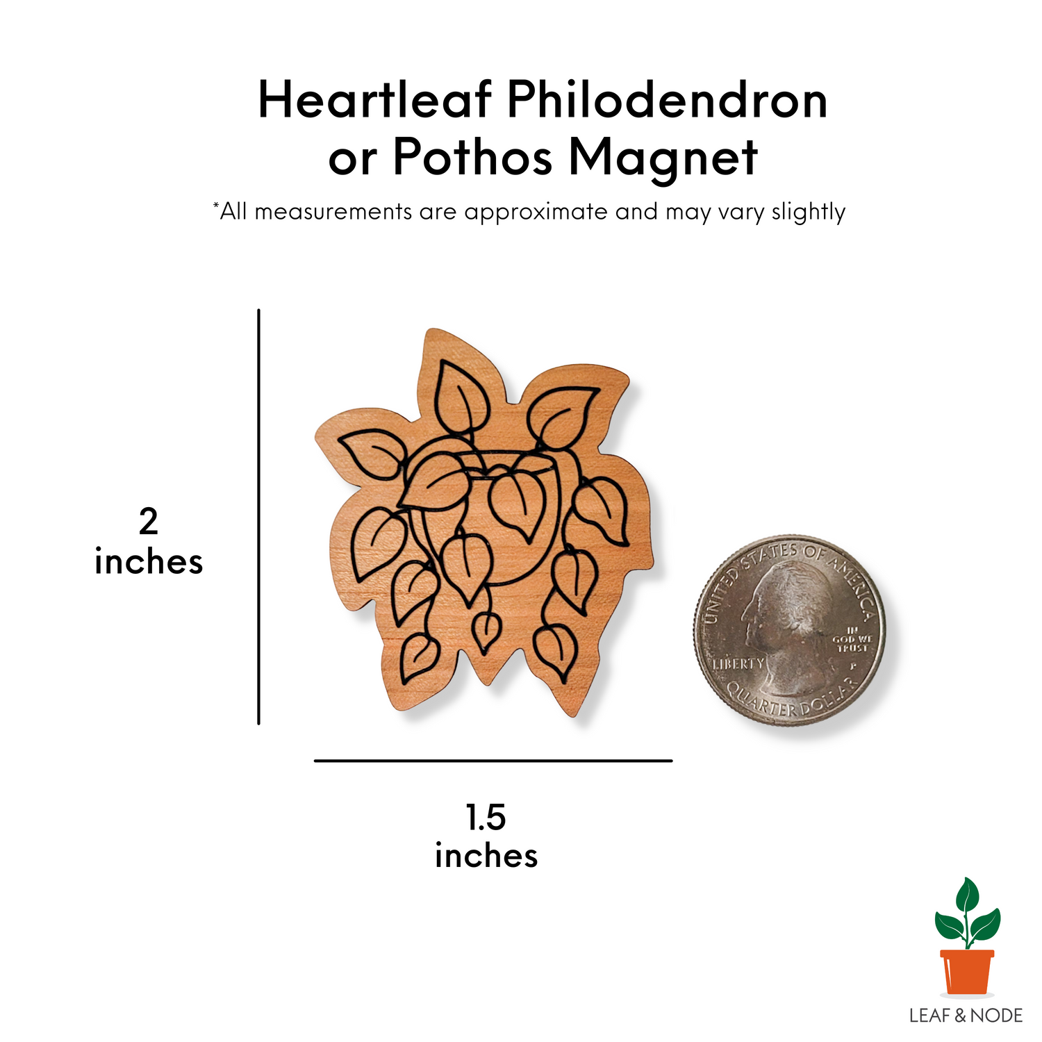 Engraved pothos or heartleaf philodendron magnet on white background with size information that matches the written product description.
