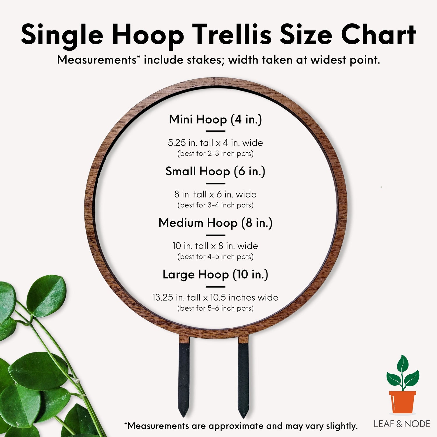single plant trellis Round Circle Indoor Plant Trellis - Single Hoop