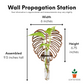 Monstera Leaf Wall Propagation Station - Test Tube Holder