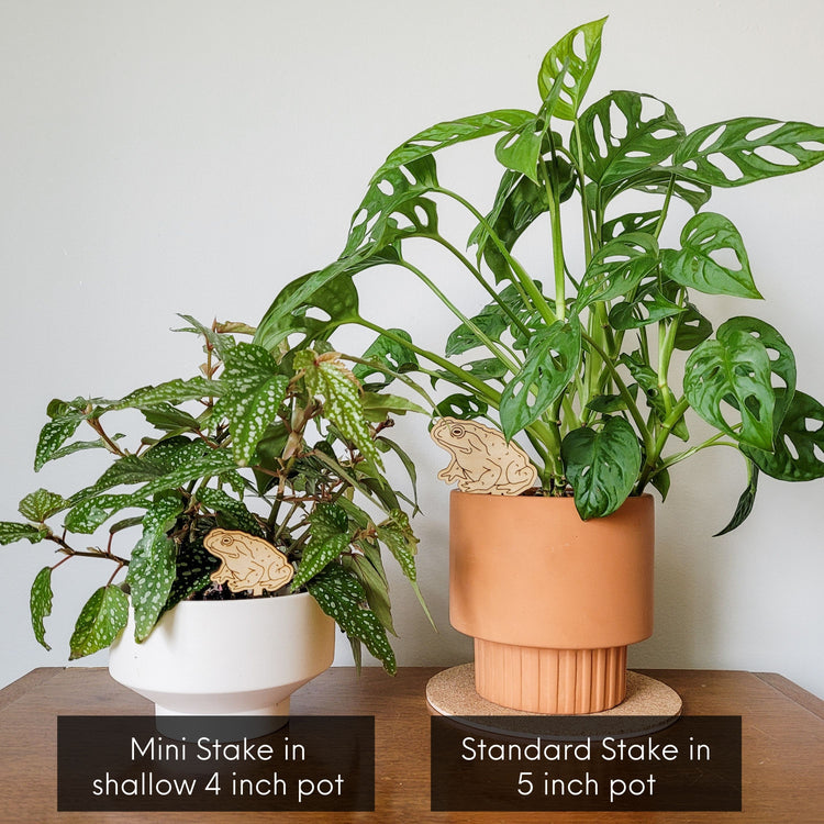 Decorative plant stake accessories featuring a toad engraved in light wood. Both size options shown with houseplants in indoor pots.