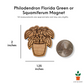 Philodendron (Squamiferum, Florida Green) - Plant Magnet
