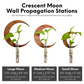 Crescent Moon Wall Propagation Station - Test Tube Holder