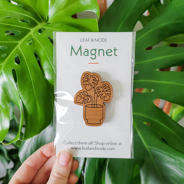 Handcrafted magnet featuring a monstera deliciosa plant engraved in cherry wood held against a plant leaf in product packaging.