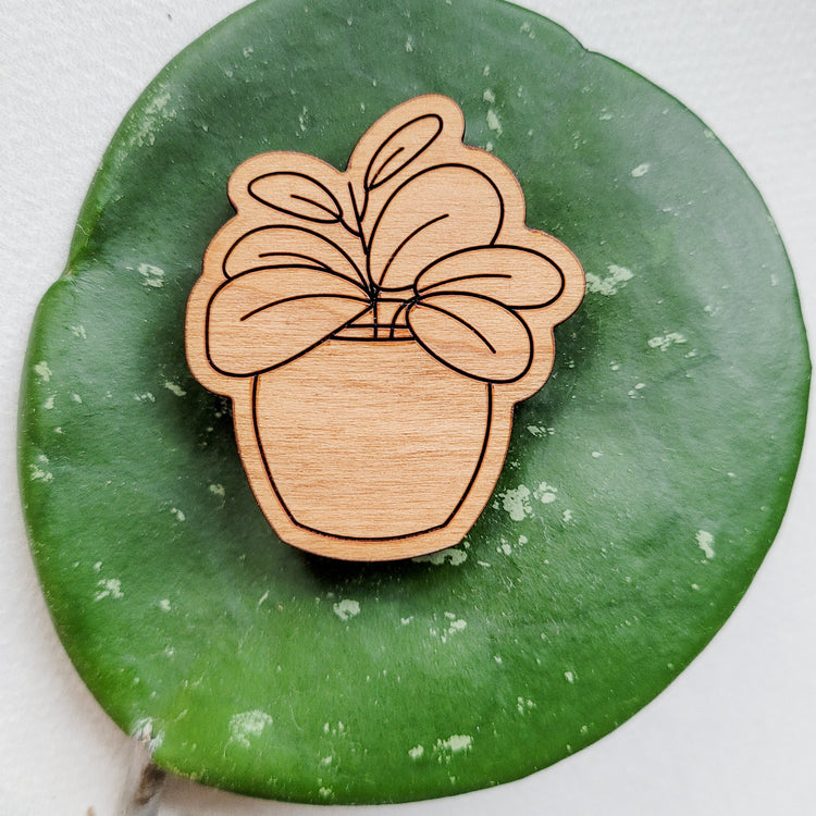 Handcrafted magnet featuring a hoya obovata engraved in cherry wood against leaves from the plant.