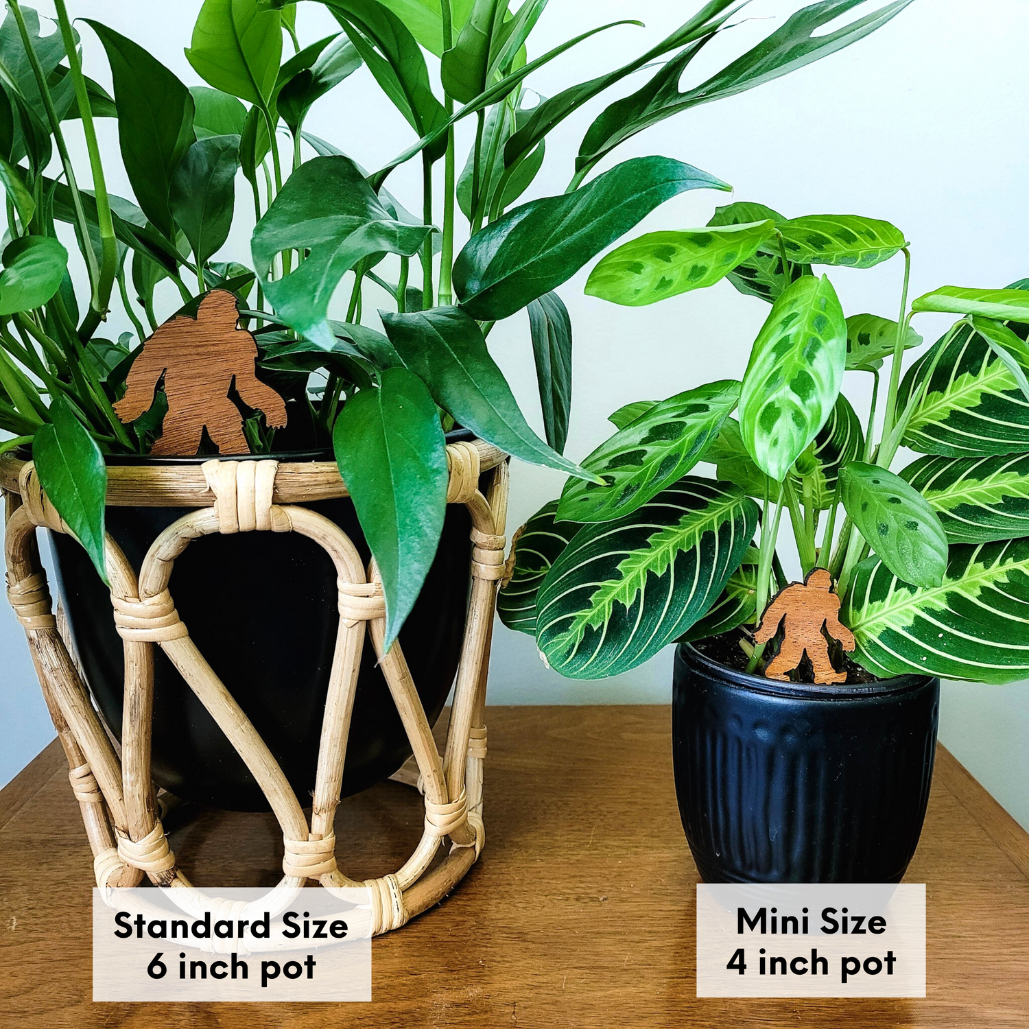 Wooden bigfoot decorative plant stakes in both size options displayed in houseplant pots.