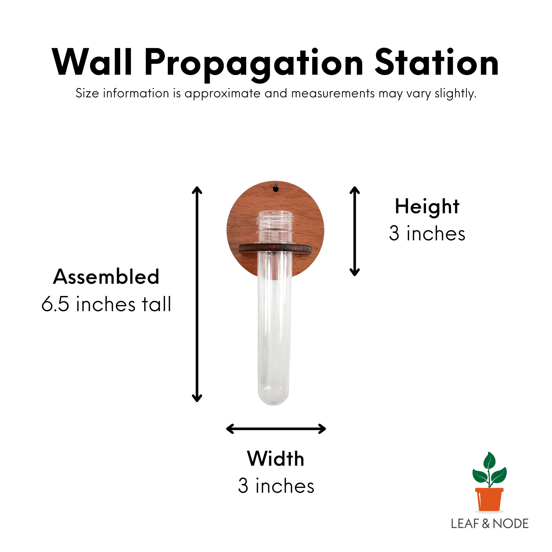 Wall Hanging Propagation Station Grow Plant Cuttings in Water Leaf